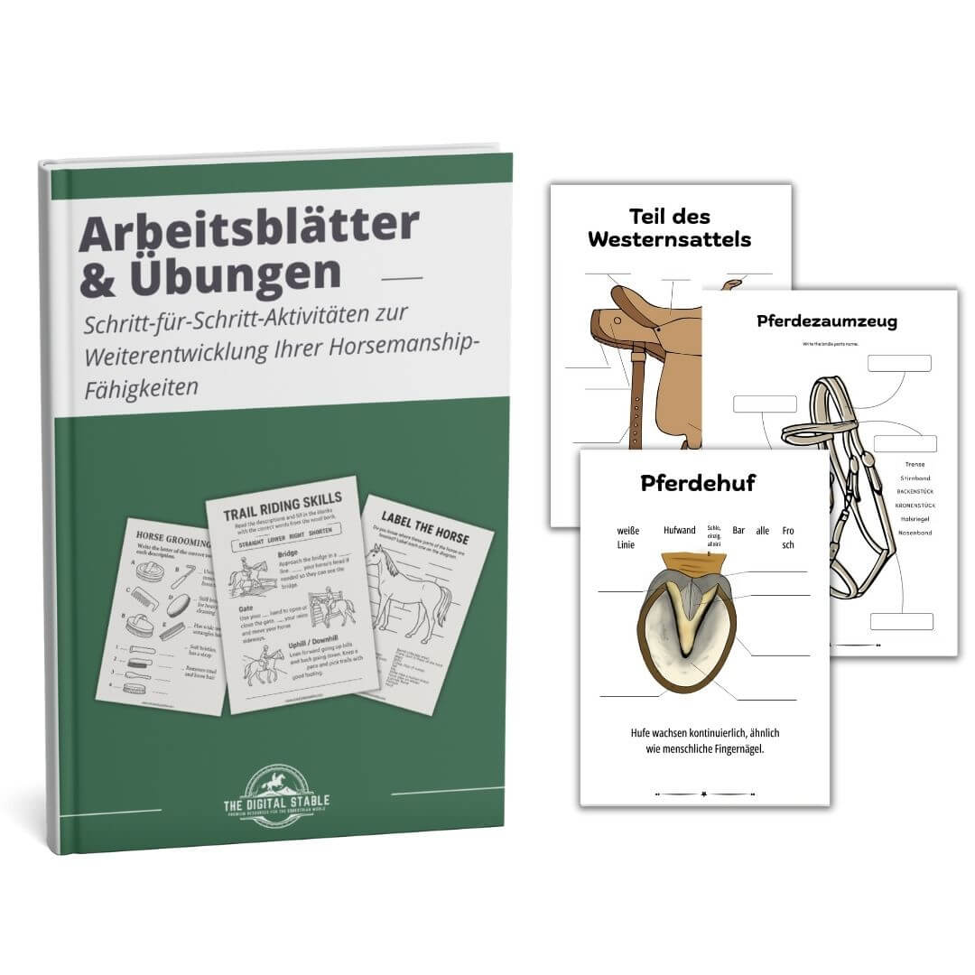 Das umfassende Pferde- und Reitpaket