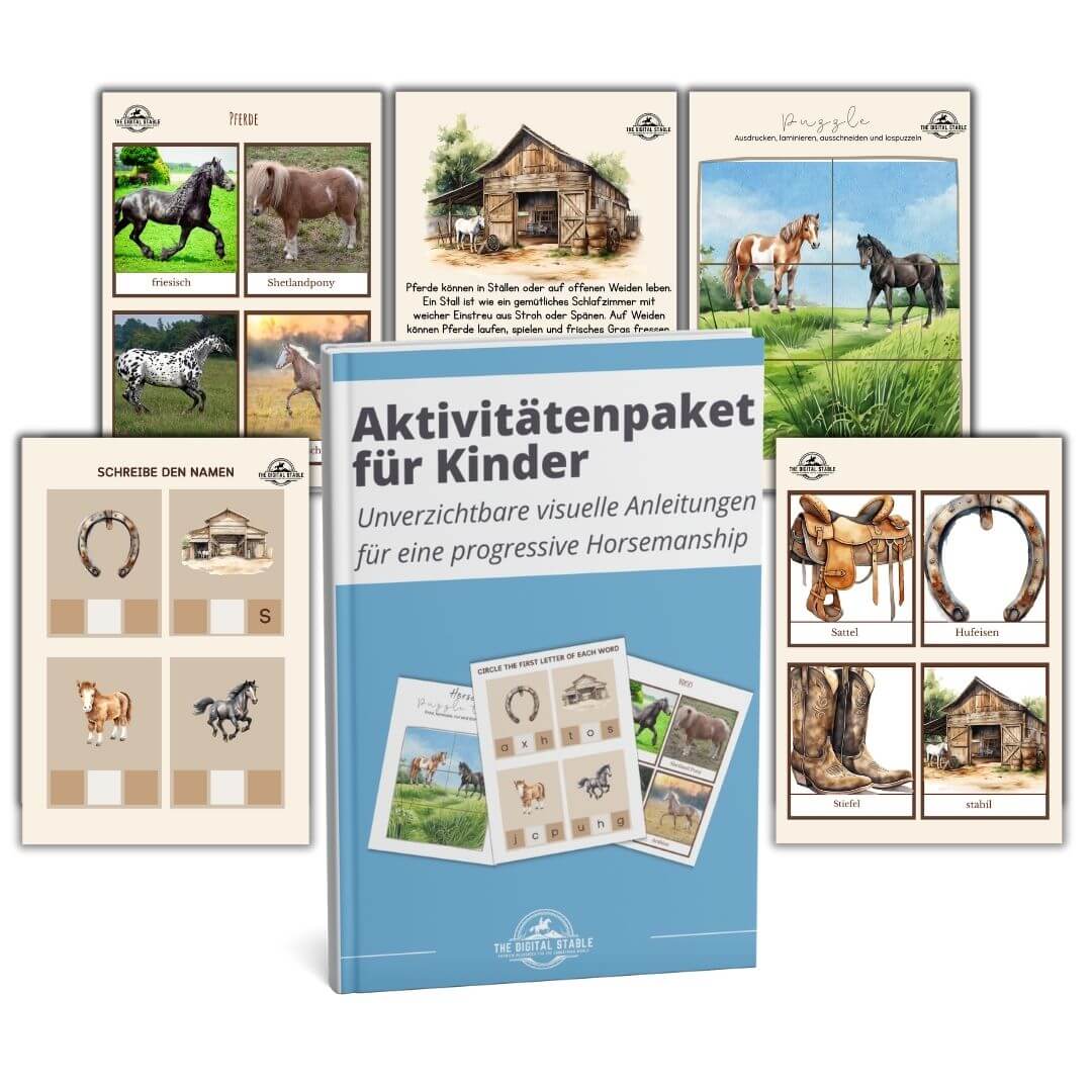 Das umfassende Pferde- und Reitpaket